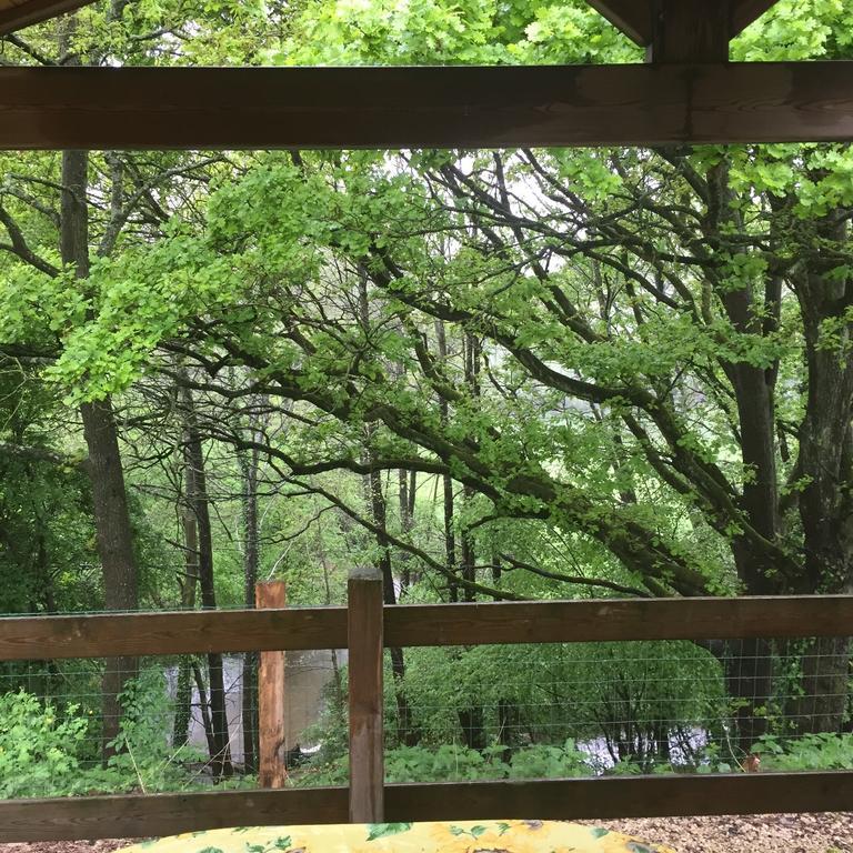 Camping Du Puy Rond Bressuire Oda fotoğraf